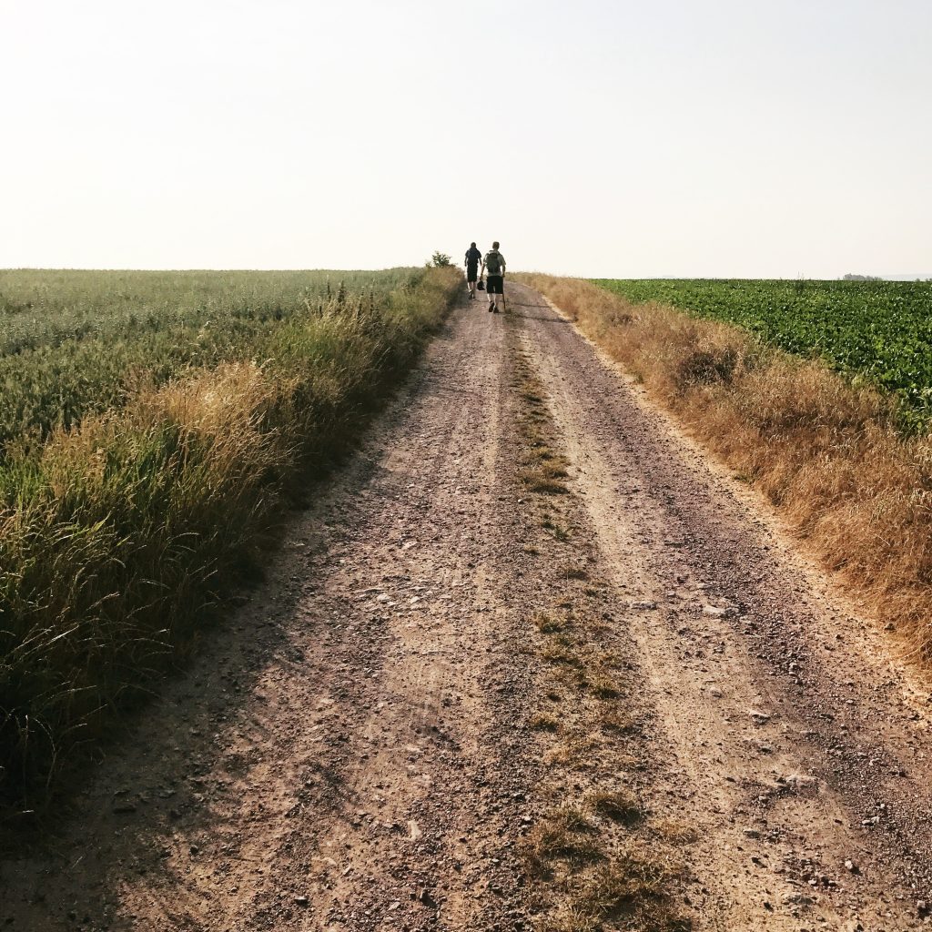 Heartist's Journey