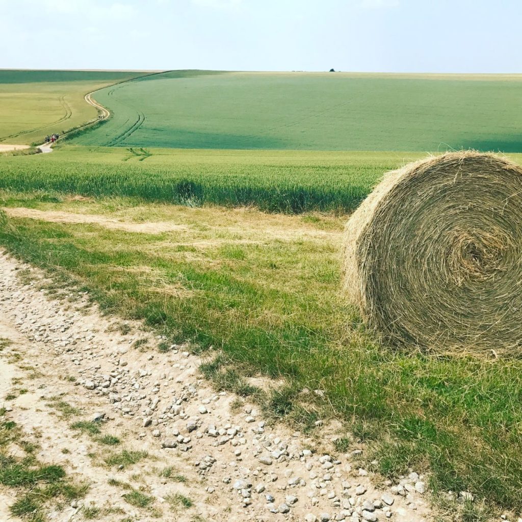 Heartist's Journey