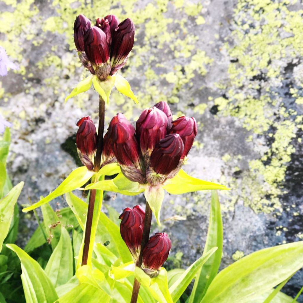 Creating something beautiful from the past