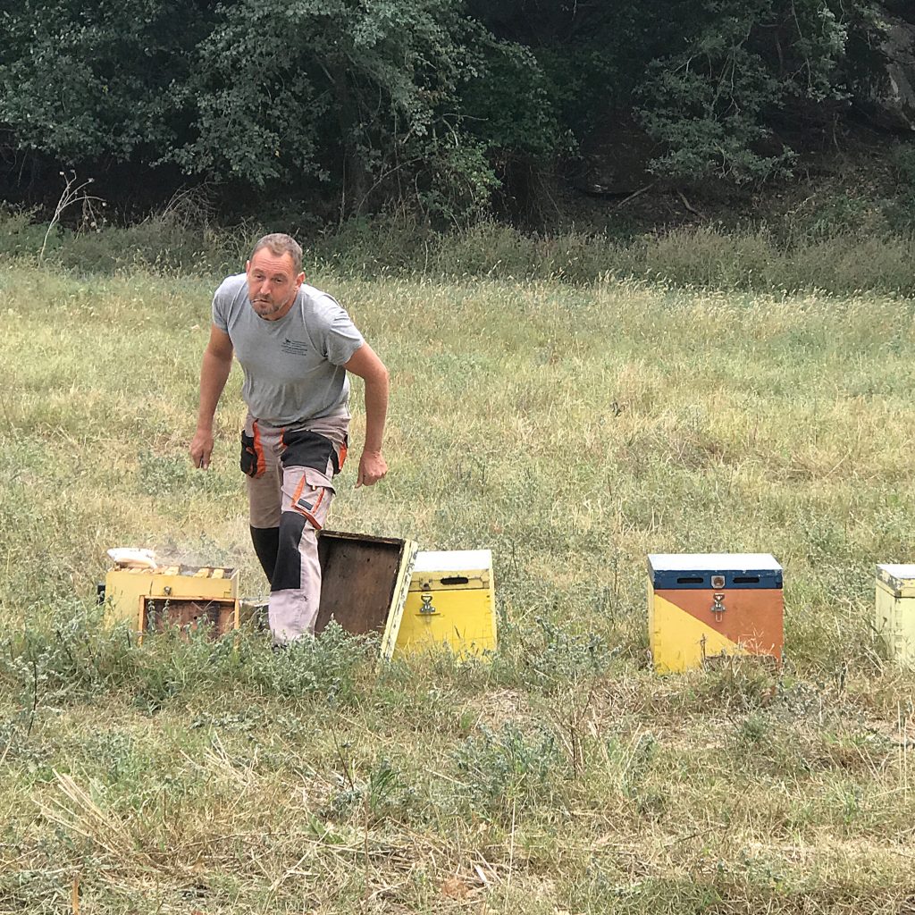 Gleaning