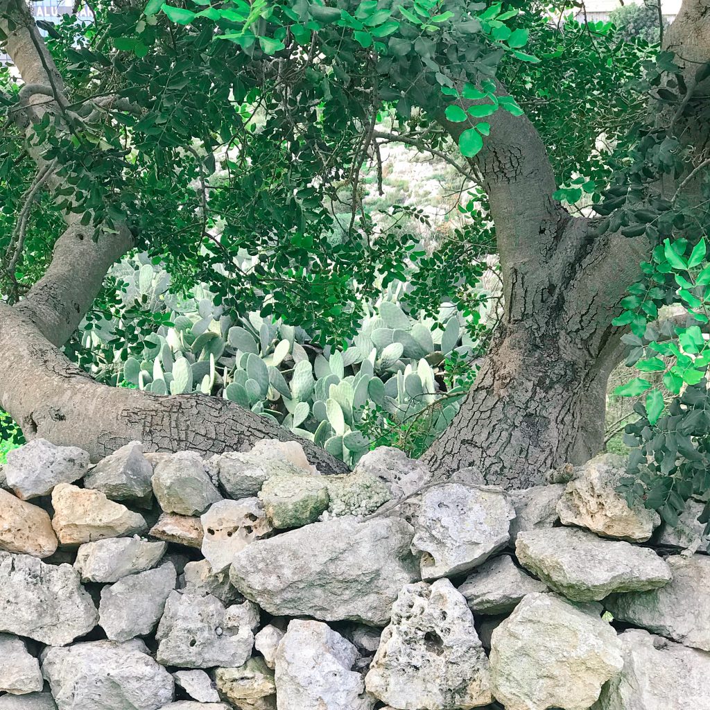 Smell and memory
