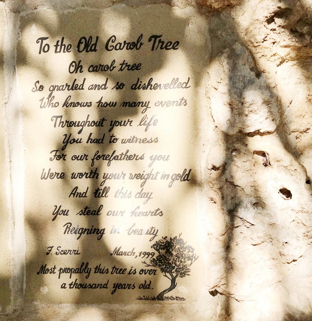 Smell and memory 