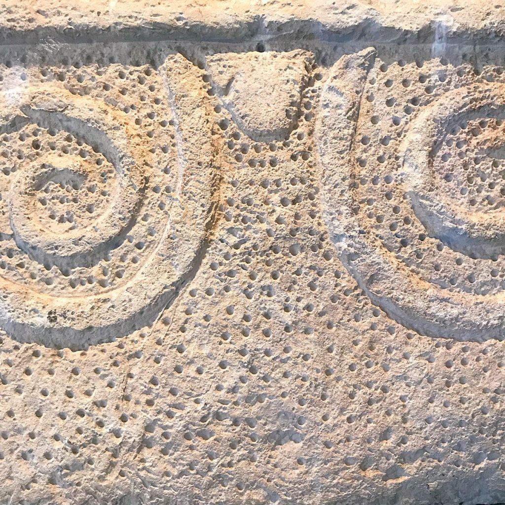 Snails and longevity