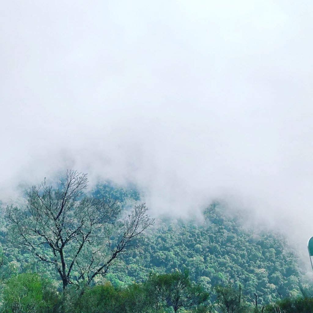 Ecstasy: Finding Your Centre, Experiencing Your Bliss