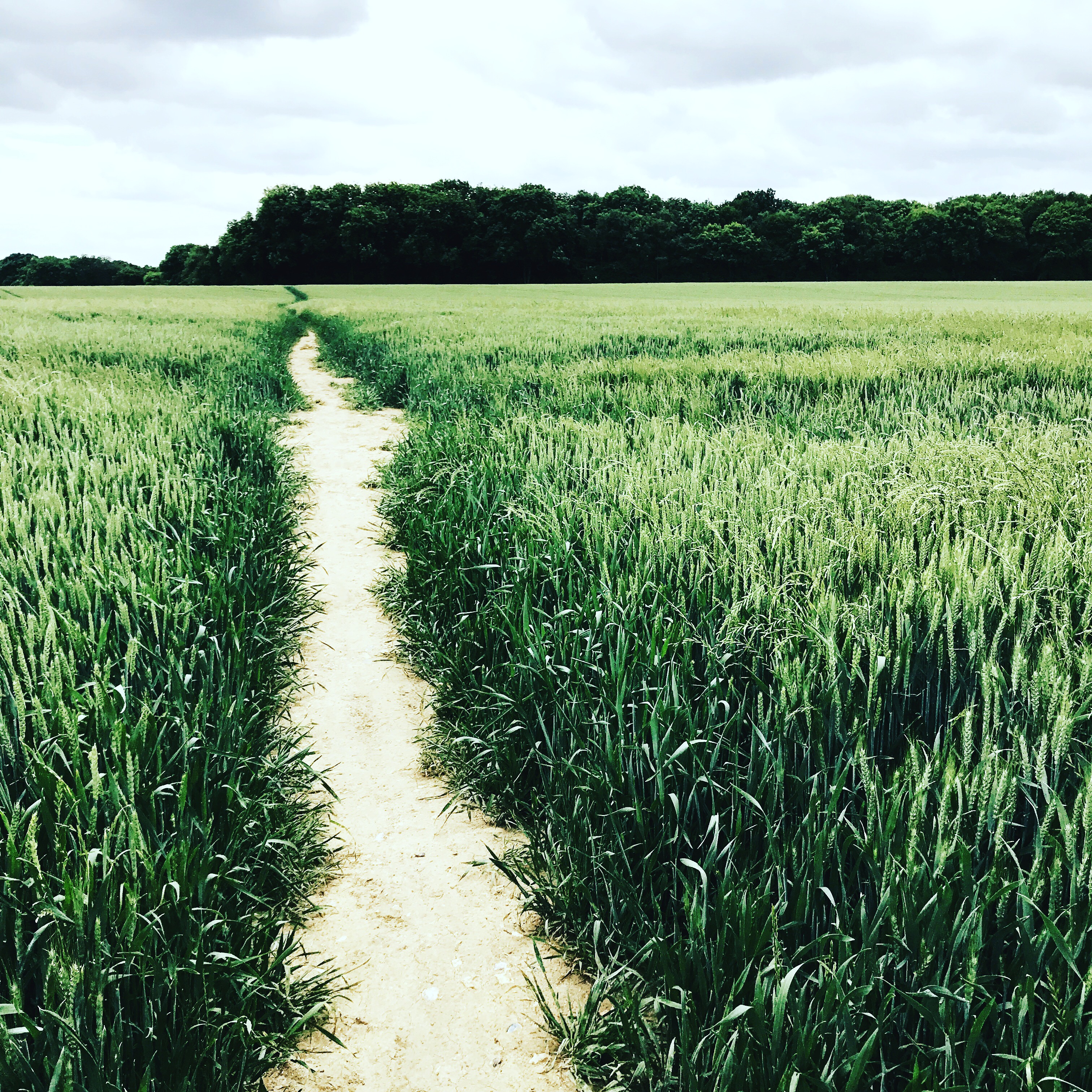 Piece: how to experience blissedness through blessedness
