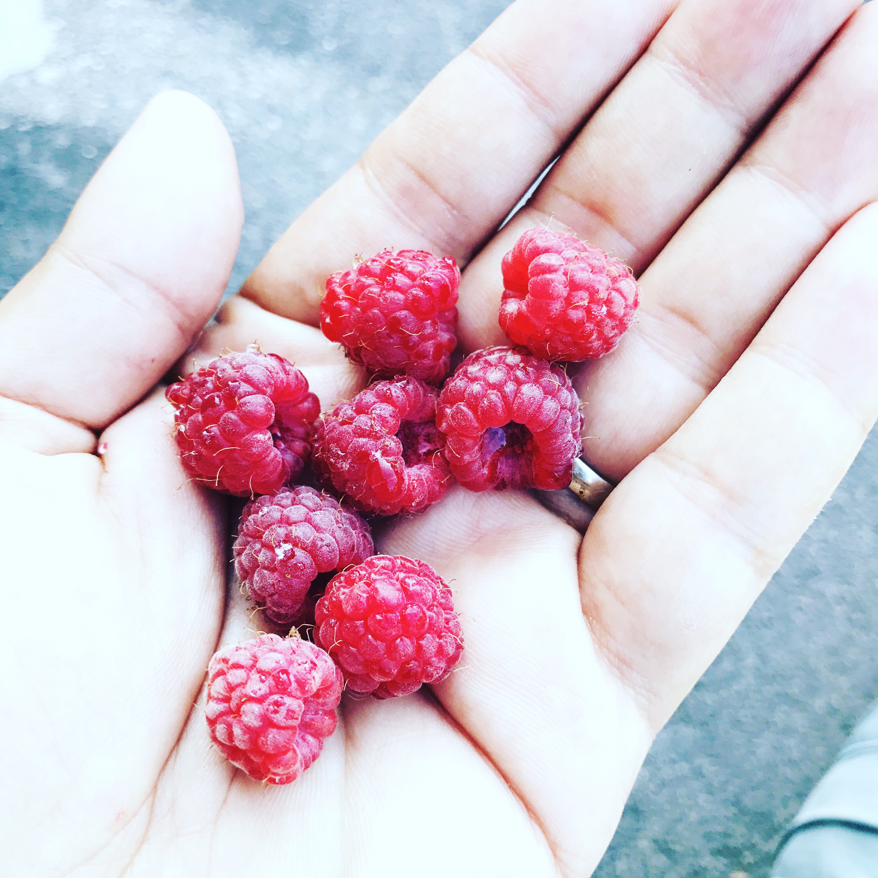 Foraging: Finding Connection Through Discovery