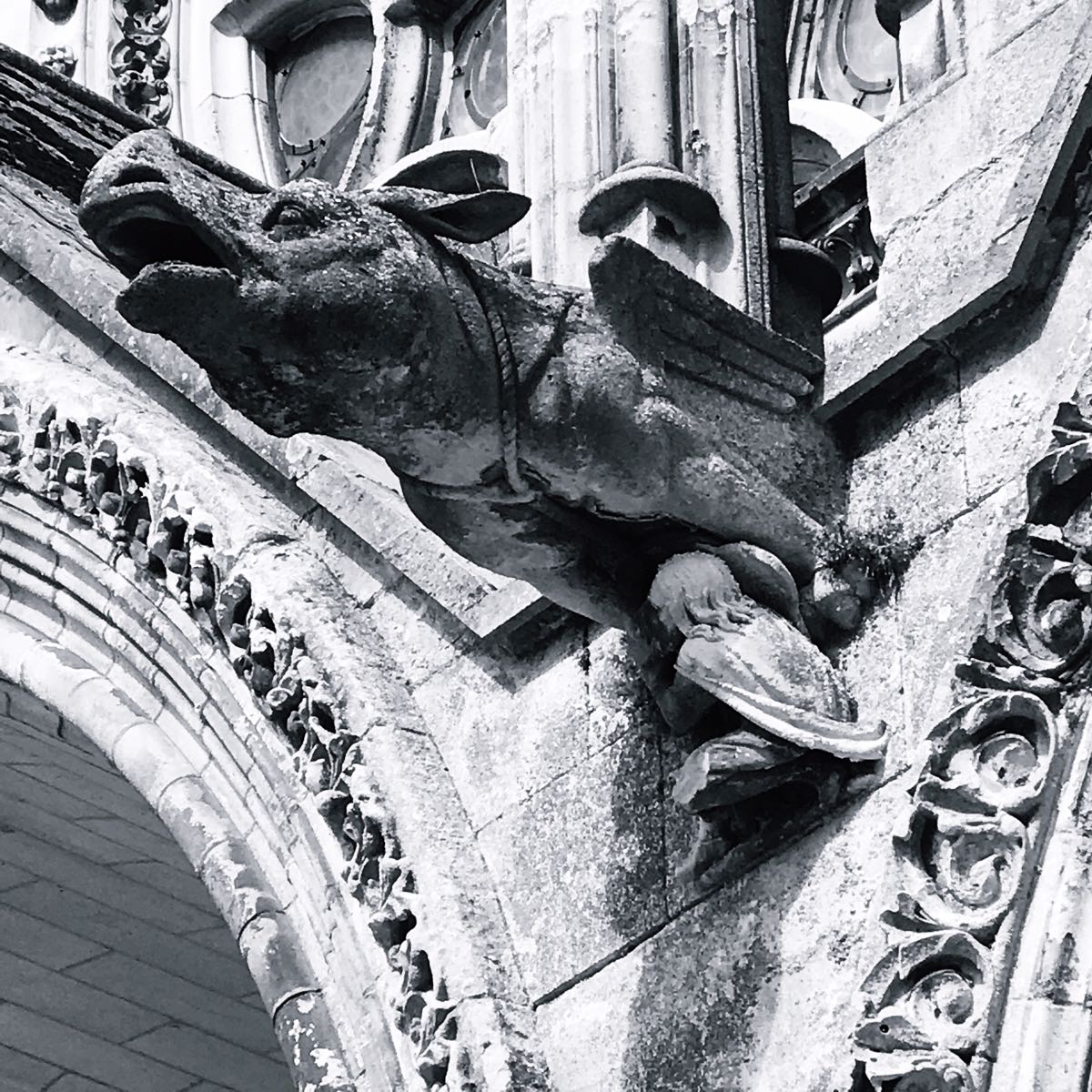 Laon Cathedral
