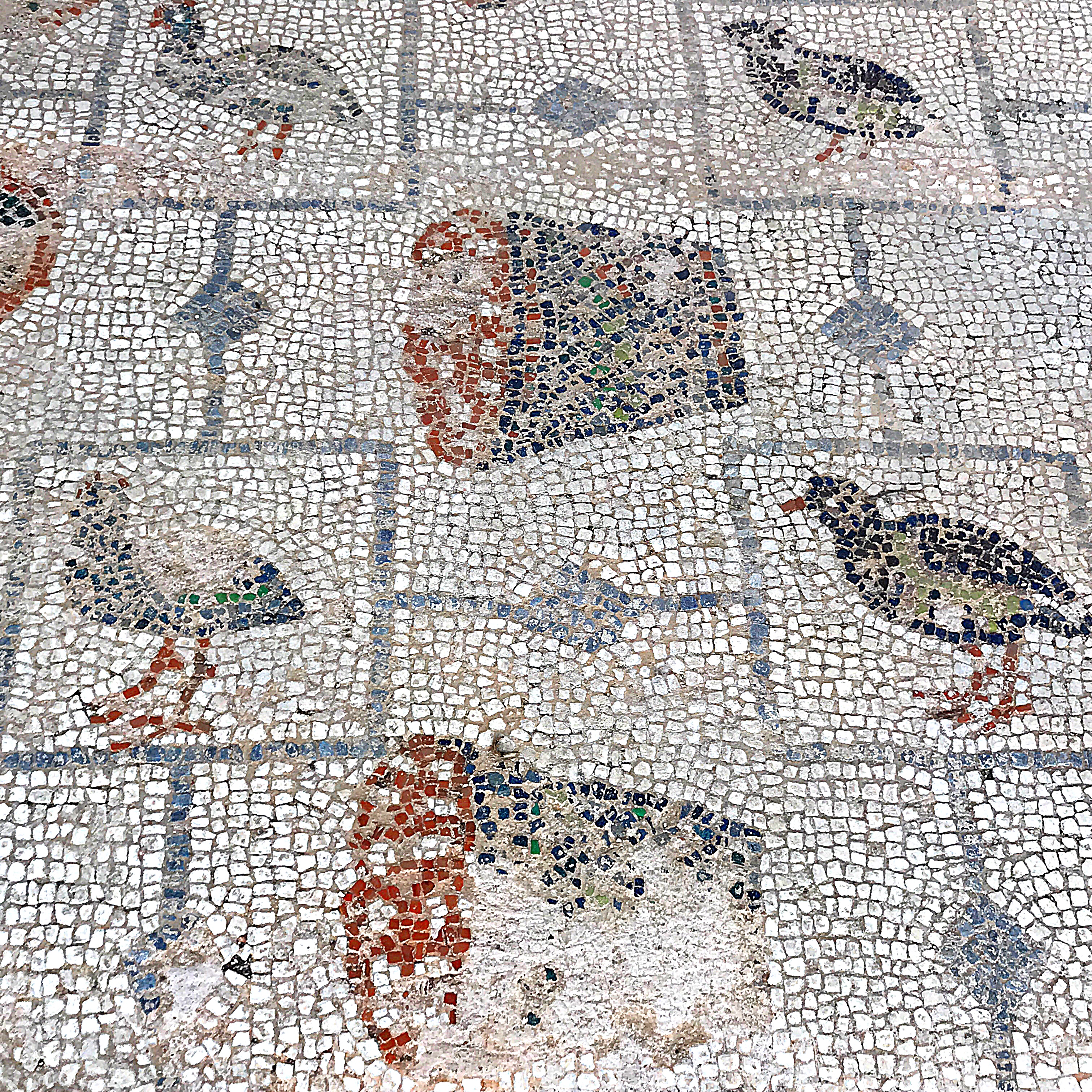 Pacedonia: Searching For The Land of Inner Peace
