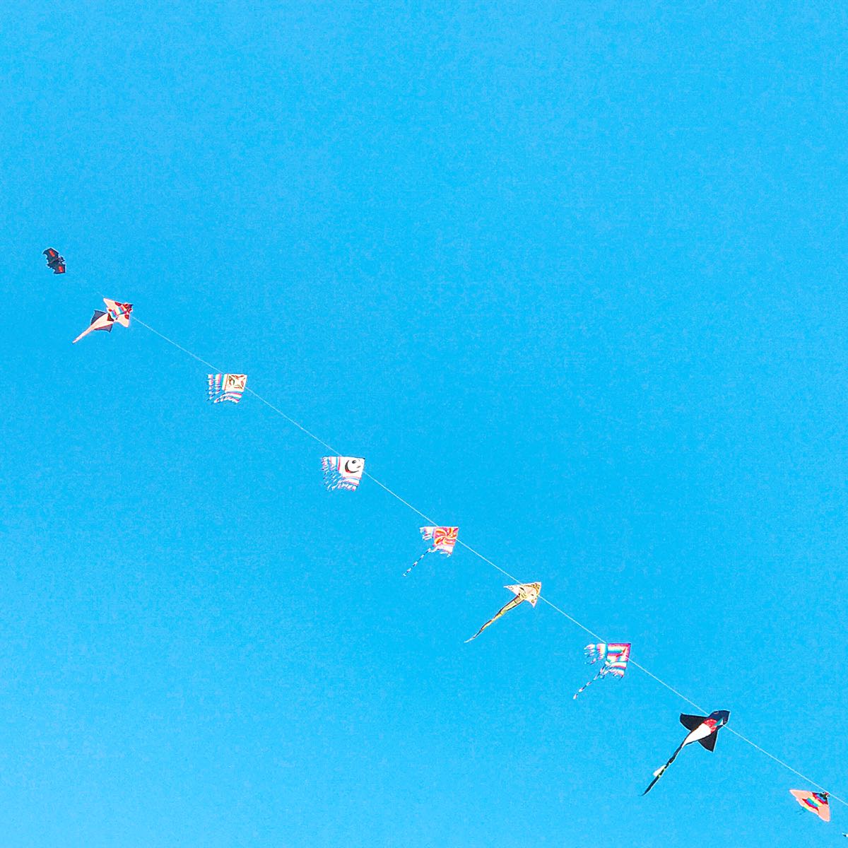Volare: Learning To Fly