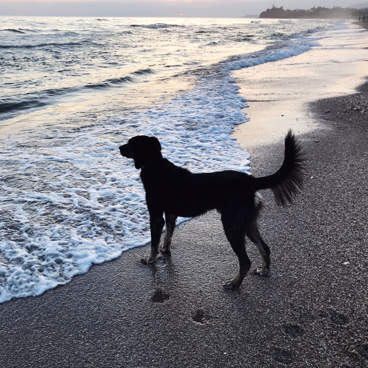 Playfulment: Finding Joy & Fullfilment Through Play