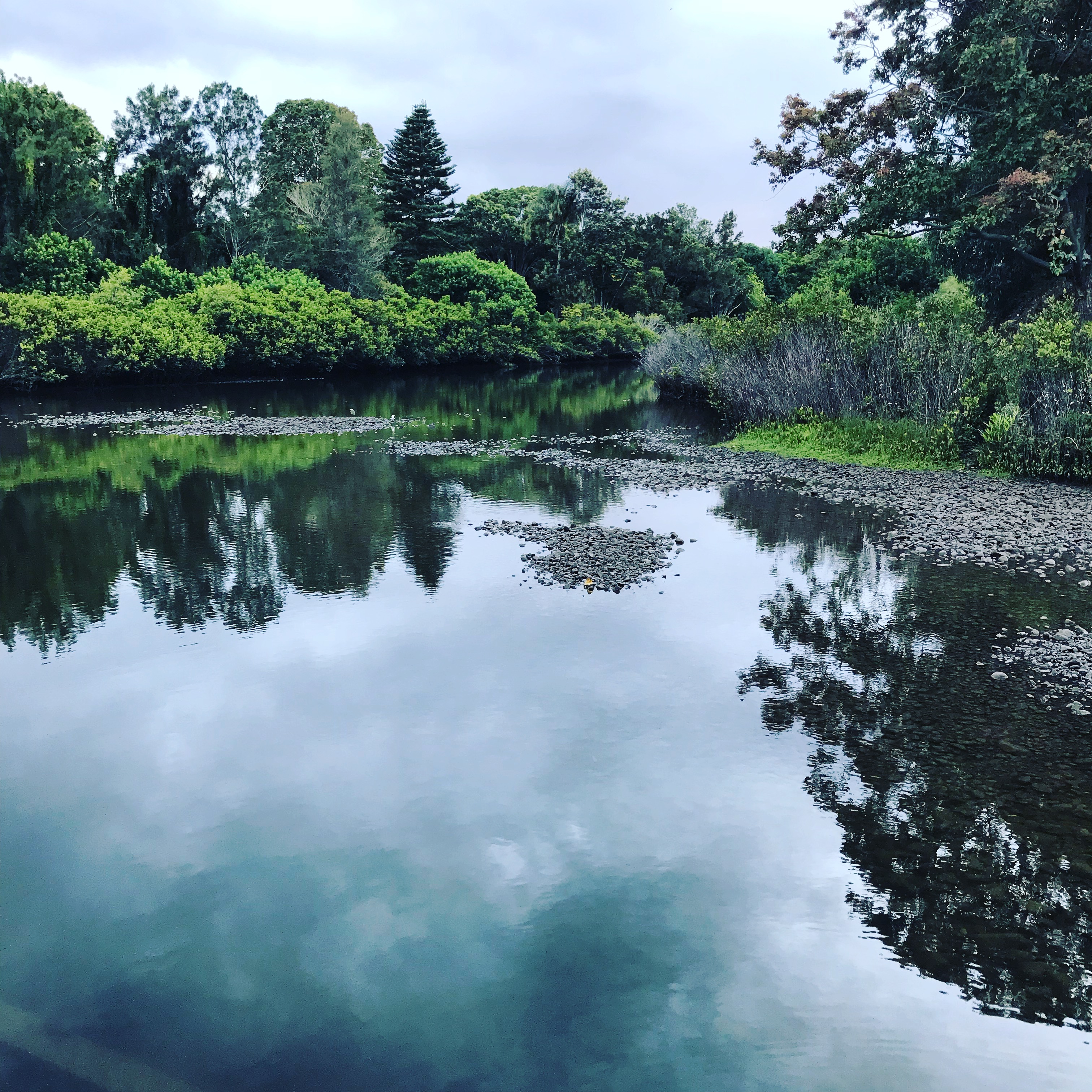 Greenitude: Connecting To Life As We Now It