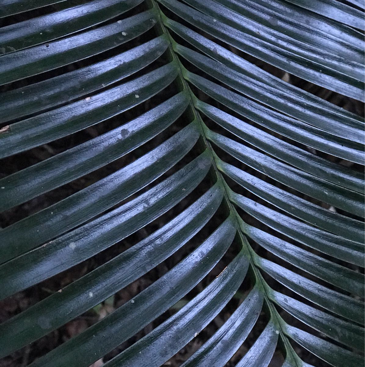 Rest and Restoration: How To Heal Ourselves and Our Earth