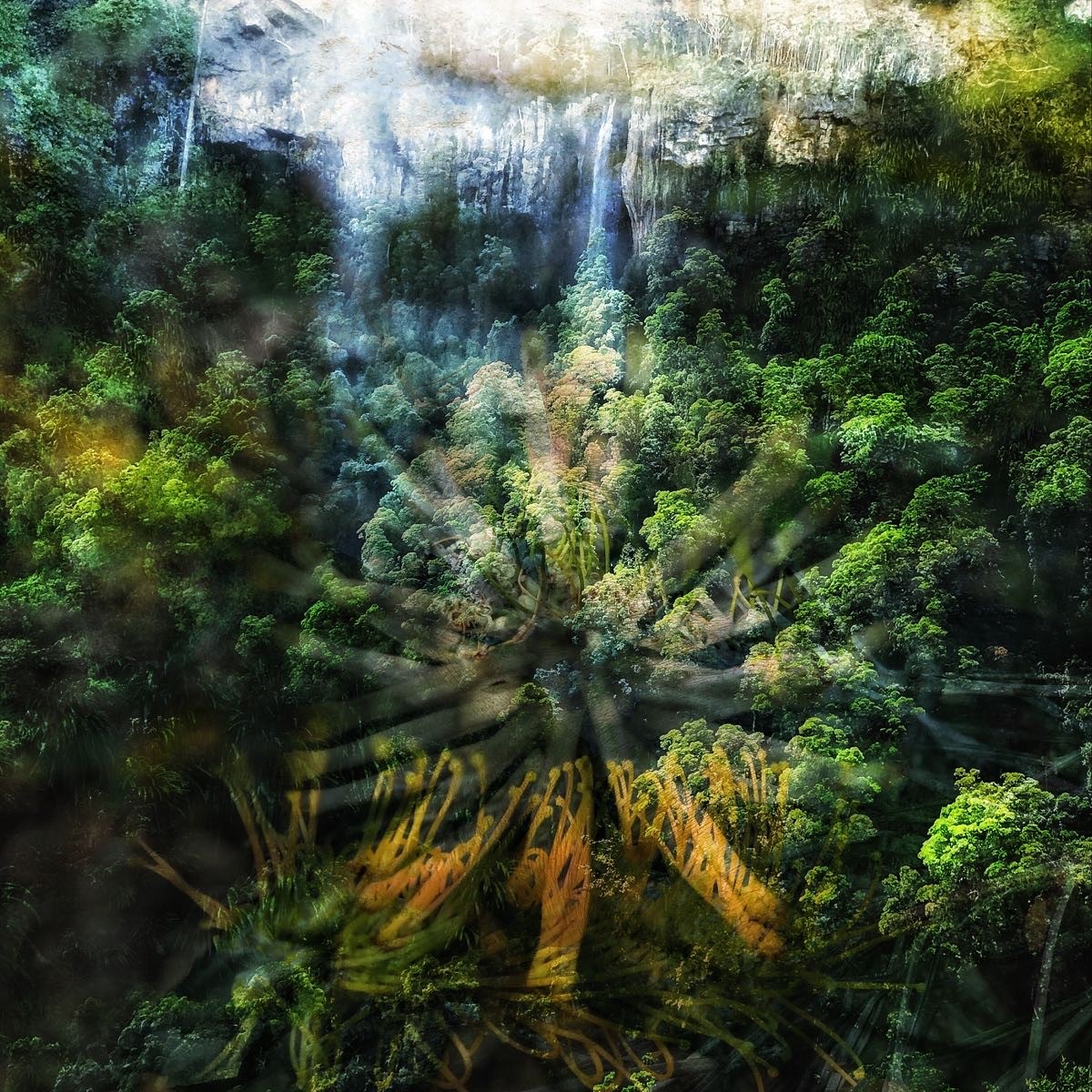 Fearns: The Realm of Magic & Faeries