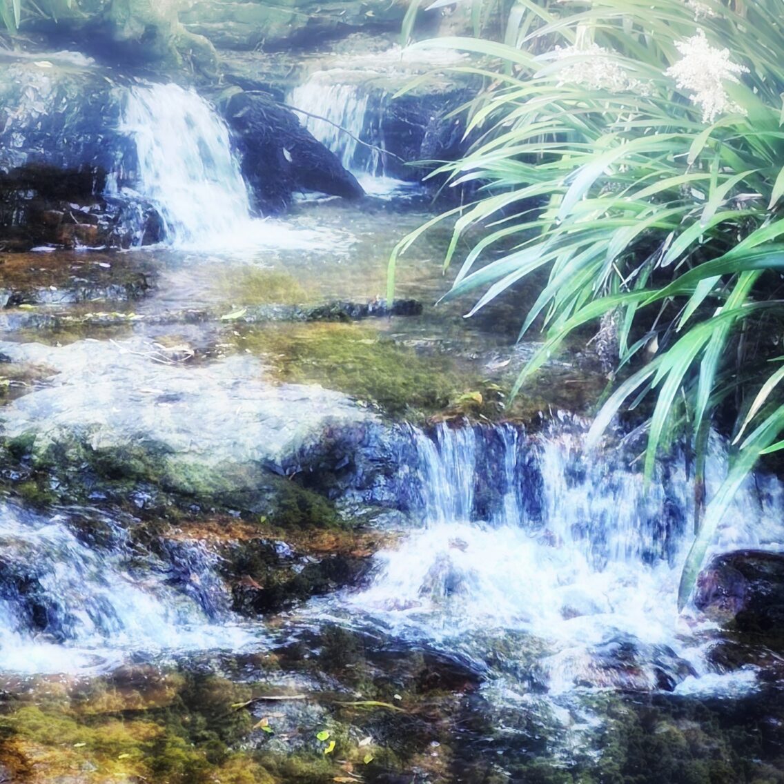 Waterfall Wonder