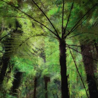 Palm Grove Whispers